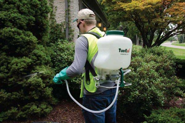 The difference between a cordless sprayer and a motor sprayer3