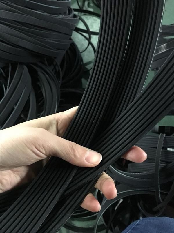 high quality v ribbed belt for auto and51569355000