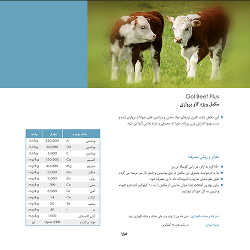 مکمل گاوهای پرواری گل بیف پلاس