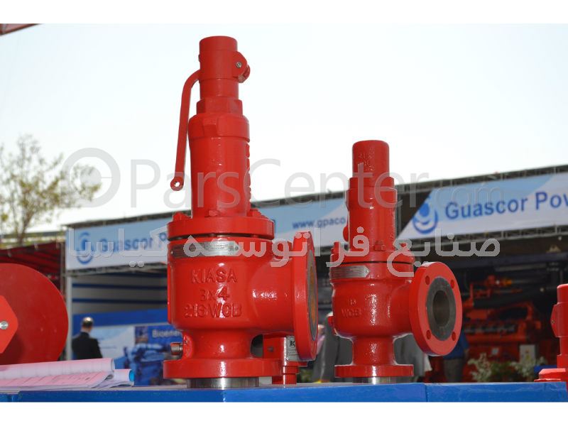 Safety Relief Valve