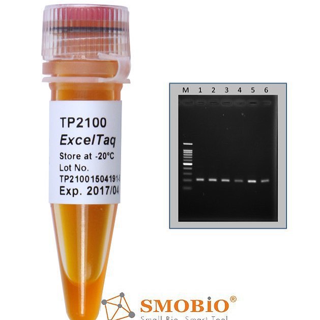 کیت ExecelTaq 5X Blood Direct PCR Master Mix 1ml