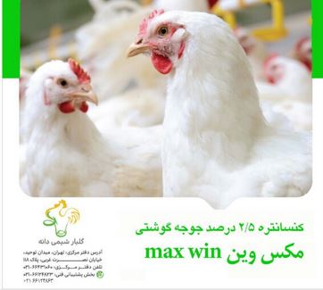 کنسانتره 2.5% مکس وین