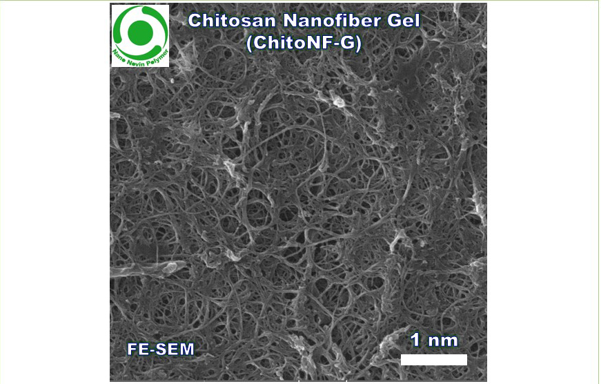 ژل نانوفیبر کیتوسان (ChitoNF-G)