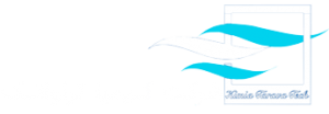 شرکت دانش بنیان کیمیا تراوا تک