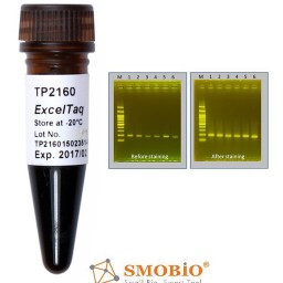 کیت ExcelTaq 5X Blood Direct Fluoro PCR 1ml